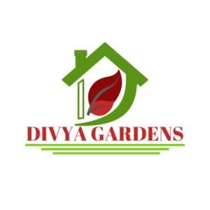 DIVYAGARDEN